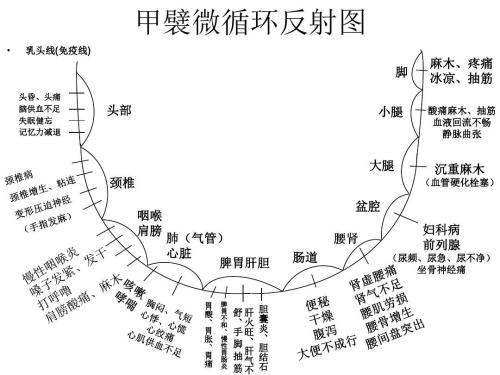 甲襞微循環(huán)